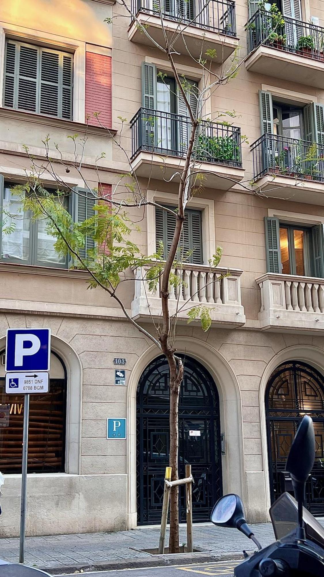 Hostal Madrazo Barcelona Luaran gambar